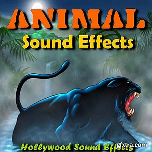 Hollywood Studio Sound Effects Animal Sound Effects