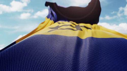 Videohive - Wavy Flag of Barbados Blowing in the Wind in Slow Motion Waving Colorful Barbadian Flag Symbol - 47745649 - 47745649