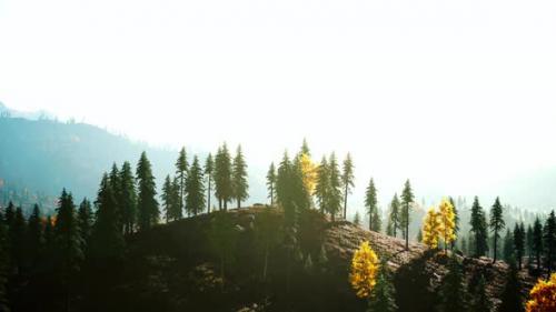 Videohive - Sunset in the Mountains with Forest and Shining Sun - 47787597 - 47787597