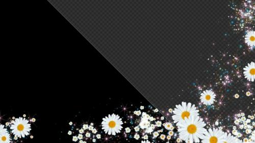 Videohive - Element Chamomile Frame - 47788183 - 47788183