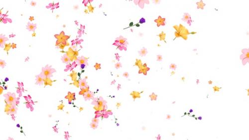 Videohive - Flowers Falling Seamless Loop Alpha V4 - 47787507 - 47787507