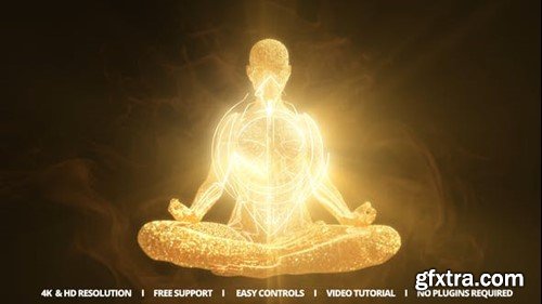 Videohive Meditation Reveal 47770669