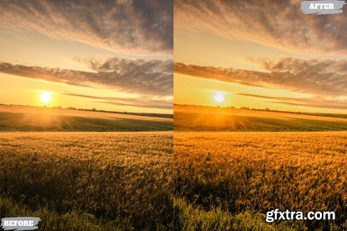 Golden Summer Lightroom Presets Dekstop and Mobile XXSANBD