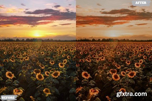 Golden Summer Lightroom Presets Dekstop and Mobile XXSANBD