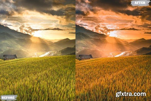 Golden Summer Lightroom Presets Dekstop and Mobile XXSANBD