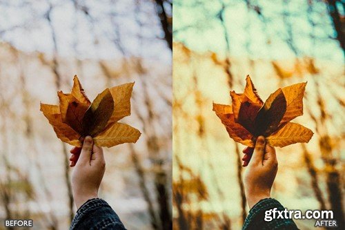 Autumn Fall Presets for Lightroom Mobile & Desktop YZAPAL7