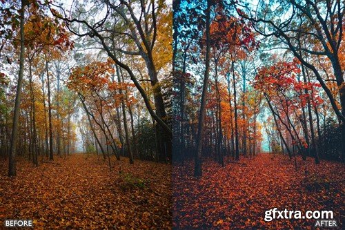 Autumn Fall Presets for Lightroom Mobile & Desktop YZAPAL7