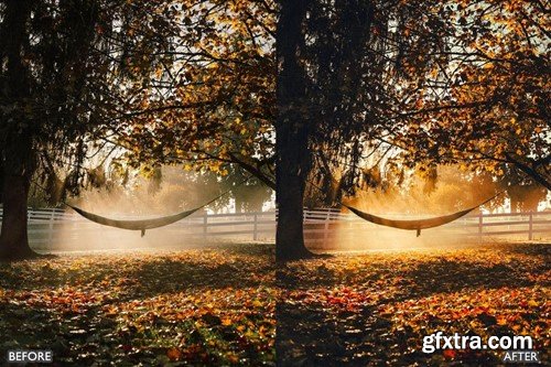 Autumn Fall Presets for Lightroom Mobile & Desktop YZAPAL7