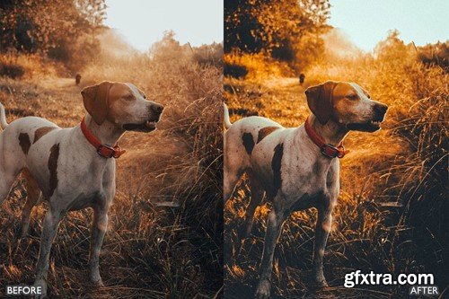 Autumn Fall Presets for Lightroom Mobile & Desktop YZAPAL7