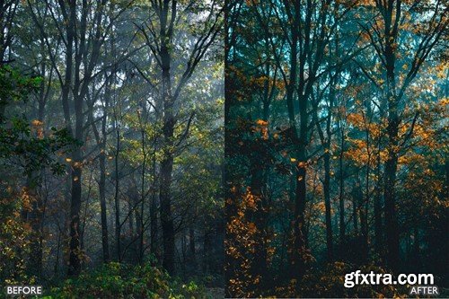 Autumn Fall Presets for Lightroom Mobile & Desktop YZAPAL7