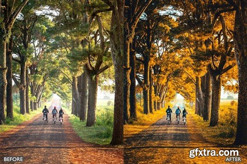 Autumn Fall Presets for Lightroom Mobile & Desktop YZAPAL7