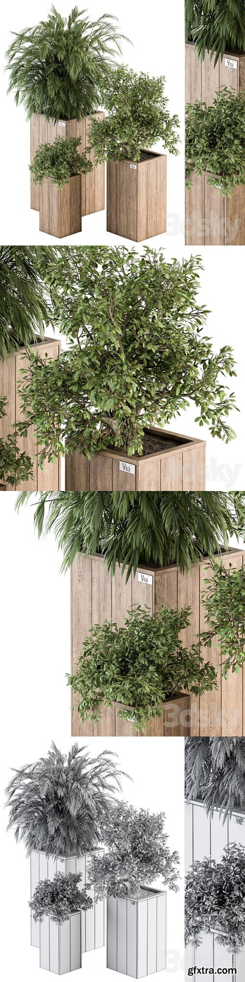 Outdoor Plant Set 297 - Wooden Plant Box