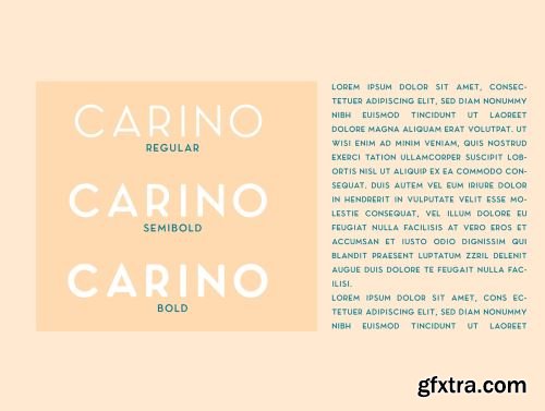 Carino - A Modern Elegant Sans Serif Family of 8 Fonts Ui8.net
