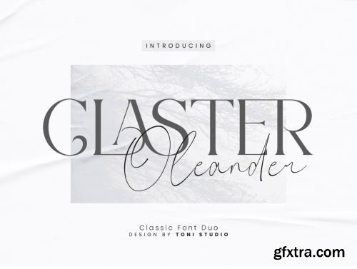 Claster Oleander Ui8.net