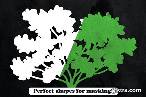 25 Bush Photoshop Stamp Brushes ZCMWMQE