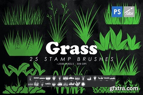 25 Grass Photoshop Stamp Brushes DU2VBKR