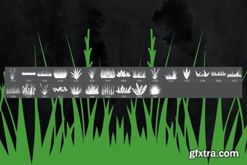 25 Grass Photoshop Stamp Brushes Du2vbkr Gfxtra 6018