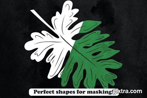 27 Tropical Leaves Photoshop Stamp Brushes F8FPNUM