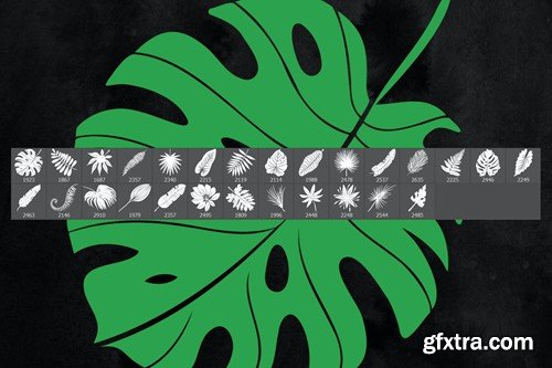 27 Tropical Leaves Photoshop Stamp Brushes F8FPNUM