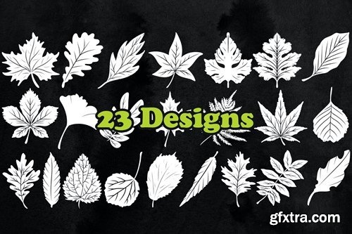 23 Leaves Photoshop Stamp Brushes VNK8QT3