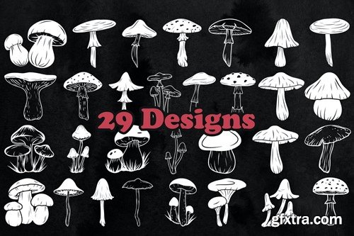 29 Mushroom Photoshop Stamp Brushes 6MRUGRV