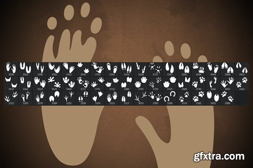 50 Paw Footprint Photoshop Stamp Brushes PWXAUZR