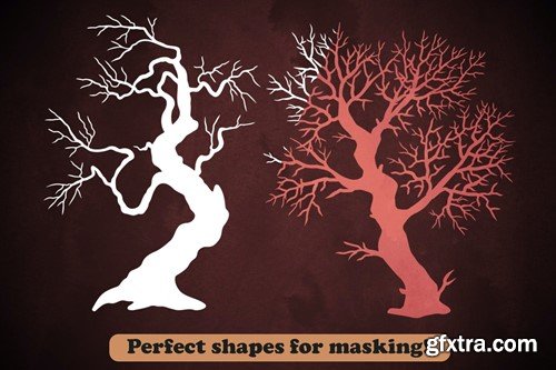 50 Winter Tree Branches Photoshop Stamp Brushes T3M2SSP