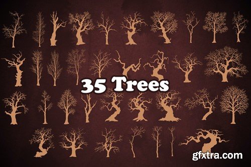 50 Winter Tree Branches Photoshop Stamp Brushes T3M2SSP