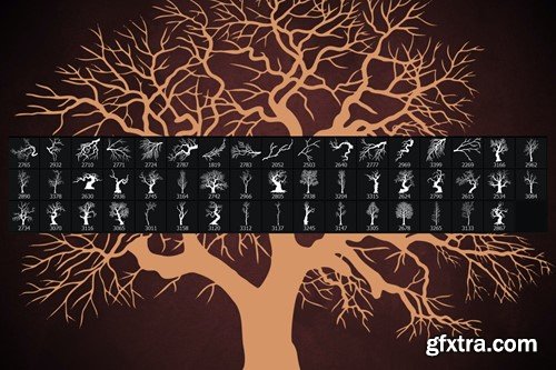 50 Winter Tree Branches Photoshop Stamp Brushes T3M2SSP