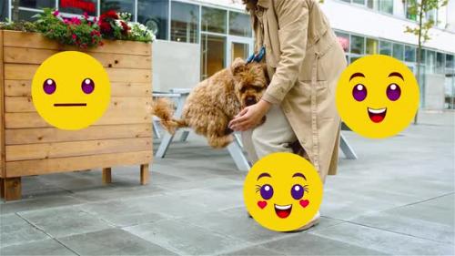 Videohive - Cute Face Emoji Elements Pack - 47928008 - 47928008