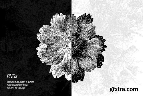 70 Botanic Dither Vector & PNG 5DBNREH