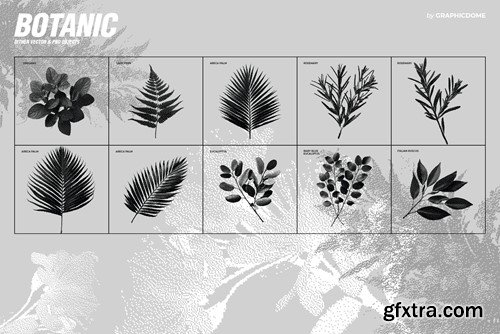 70 Botanic Dither Vector & PNG 5DBNREH