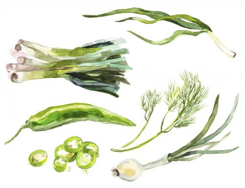 Watercolor painted collection of vegetables. Hand drawn fresh food design elements isolated on white background. 639884320