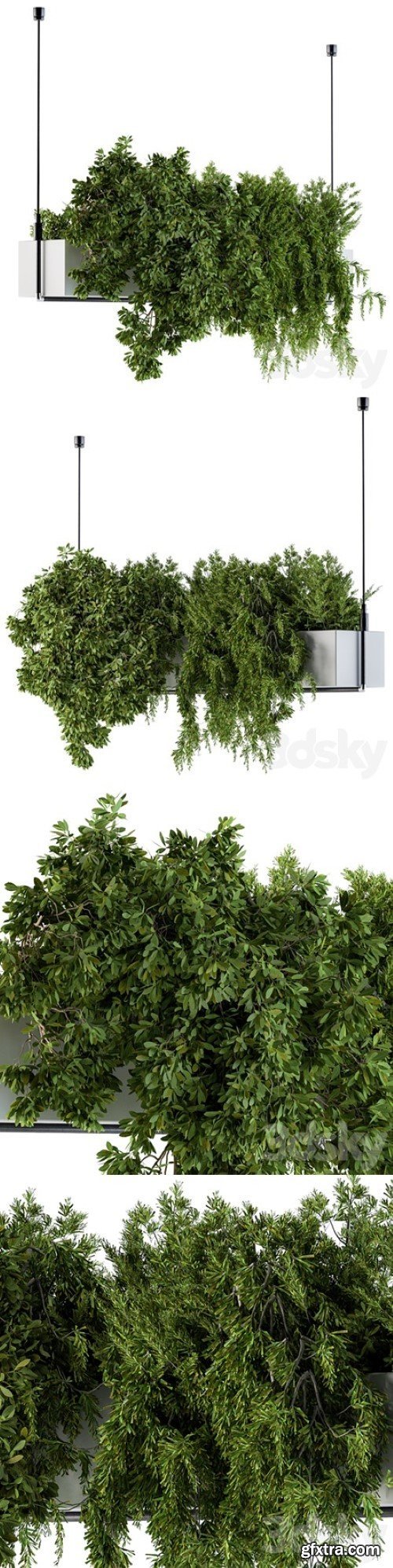 Hanging box plant – Set 70