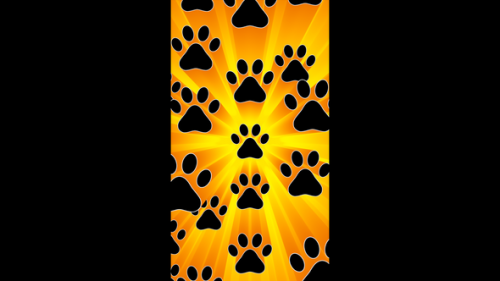 Videohive - Vertical video animal paws moving in yellow glow loop animation background - 47955732 - 47955732