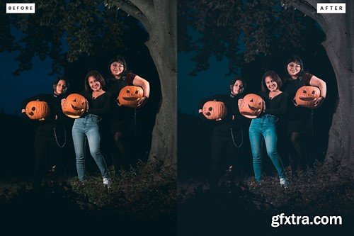 Pumpkin Spice Lightroom Presets WB3DCPH