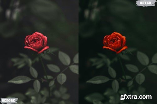 Clean Lightroom Presets Dekstop and Mobile MLG8FV4