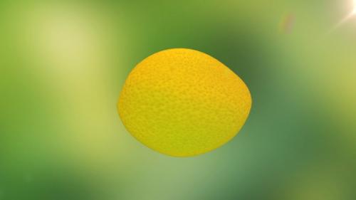 Videohive - Lemon Fruit - 47962873 - 47962873