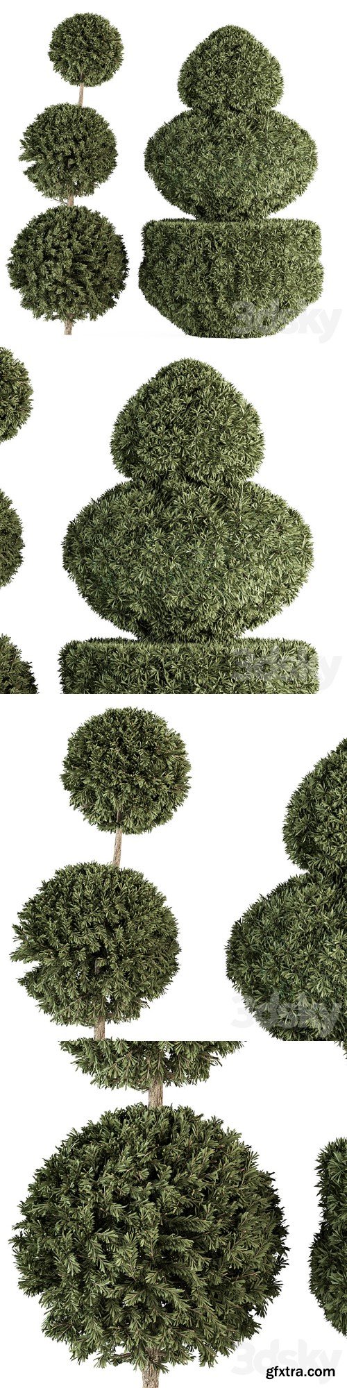 Topiary shape Bush - Bush Set 65