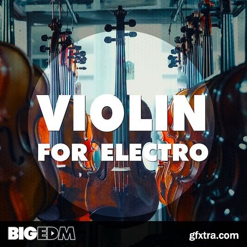 Big EDM Violin For Electro