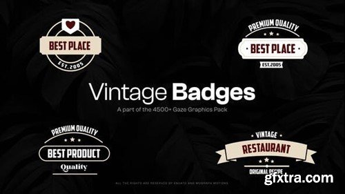 Videohive 15 Vintage Badges 48091658