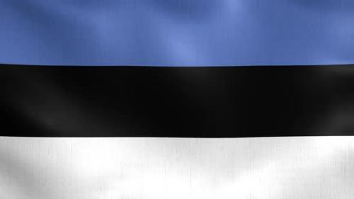 Videohive - Estonia Flag - 47980496 - 47980496