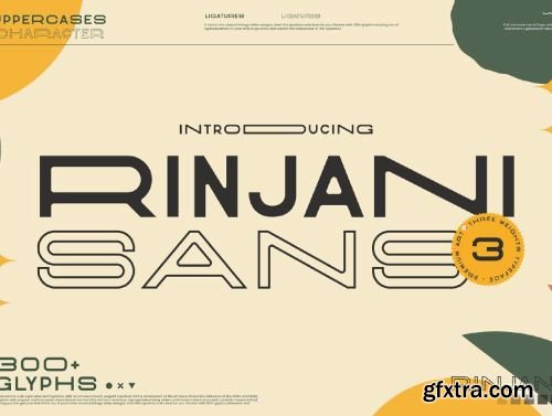 Rinjani Sans - Wide Stretch Typeface Ui8.net