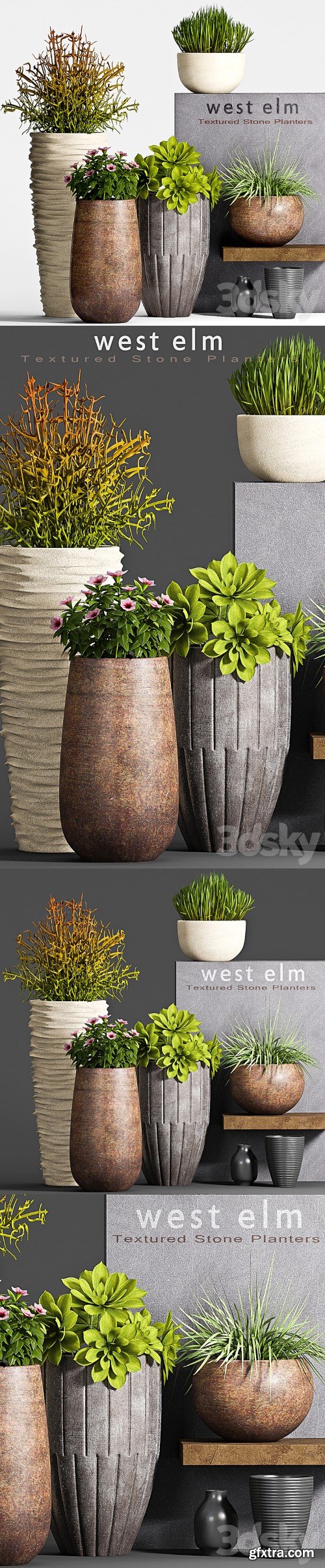 PLANT SET -63