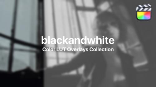 Videohive - Black&White Color Presets for Final Cut Pro Vol. 01 - 48017248 - 48017248