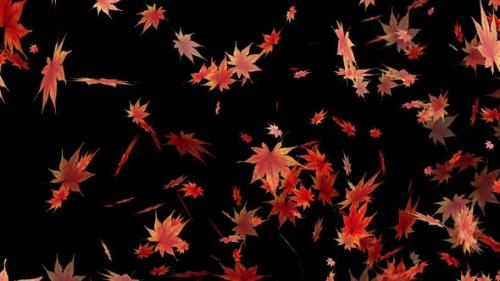 Videohive - Leaves Animation Background - 48037683 - 48037683