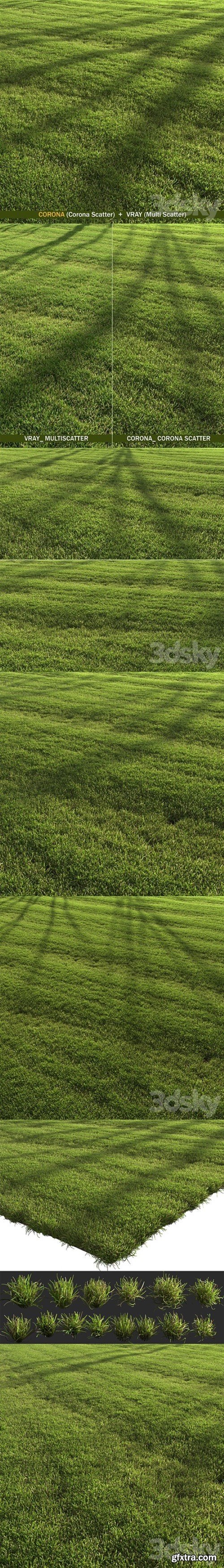 lawn landscape