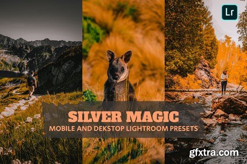 Silver Magic Lightroom Presets Dekstop and Mobile NZR6HJX