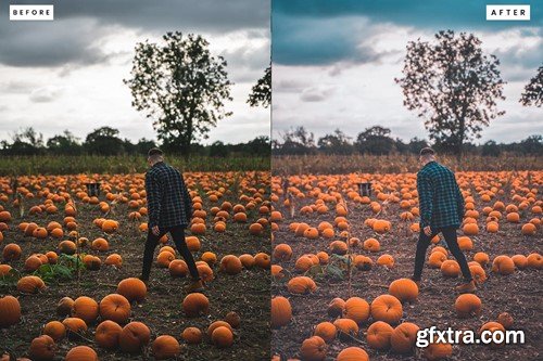 Pumpkin Patch Lightroom Presets GXHV6C8