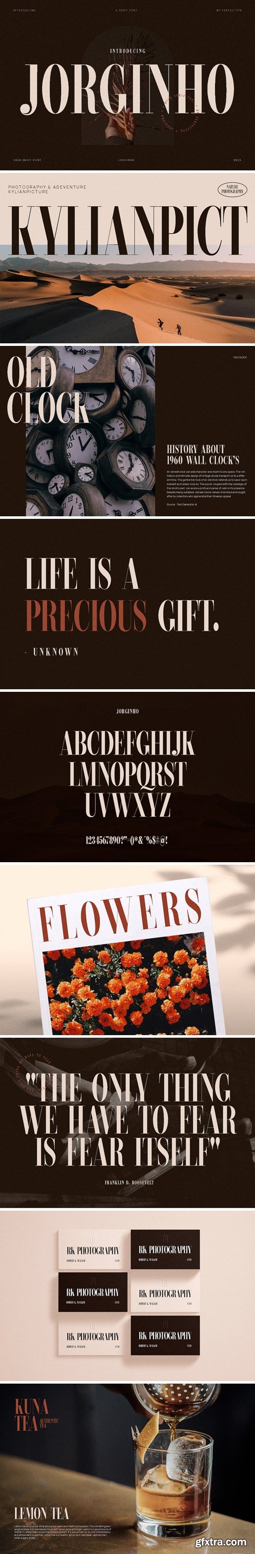 Jorginho Modern Serif Font Typeface